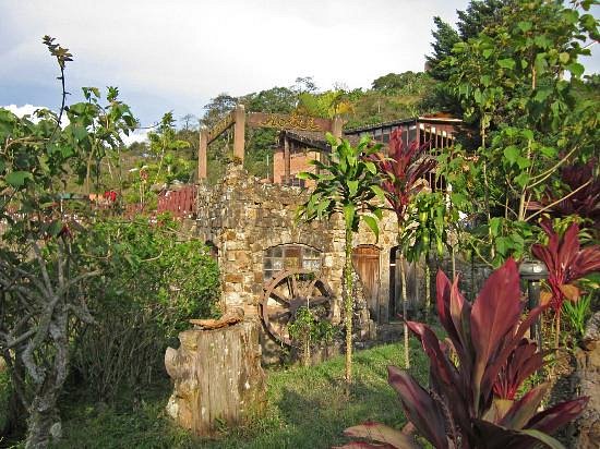 Rueda de piedra del viejo molino, rodeada de vegetación